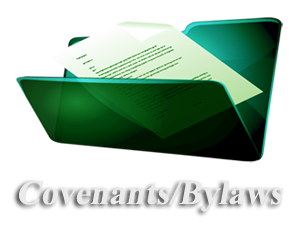 covenants and bylaws icon and link